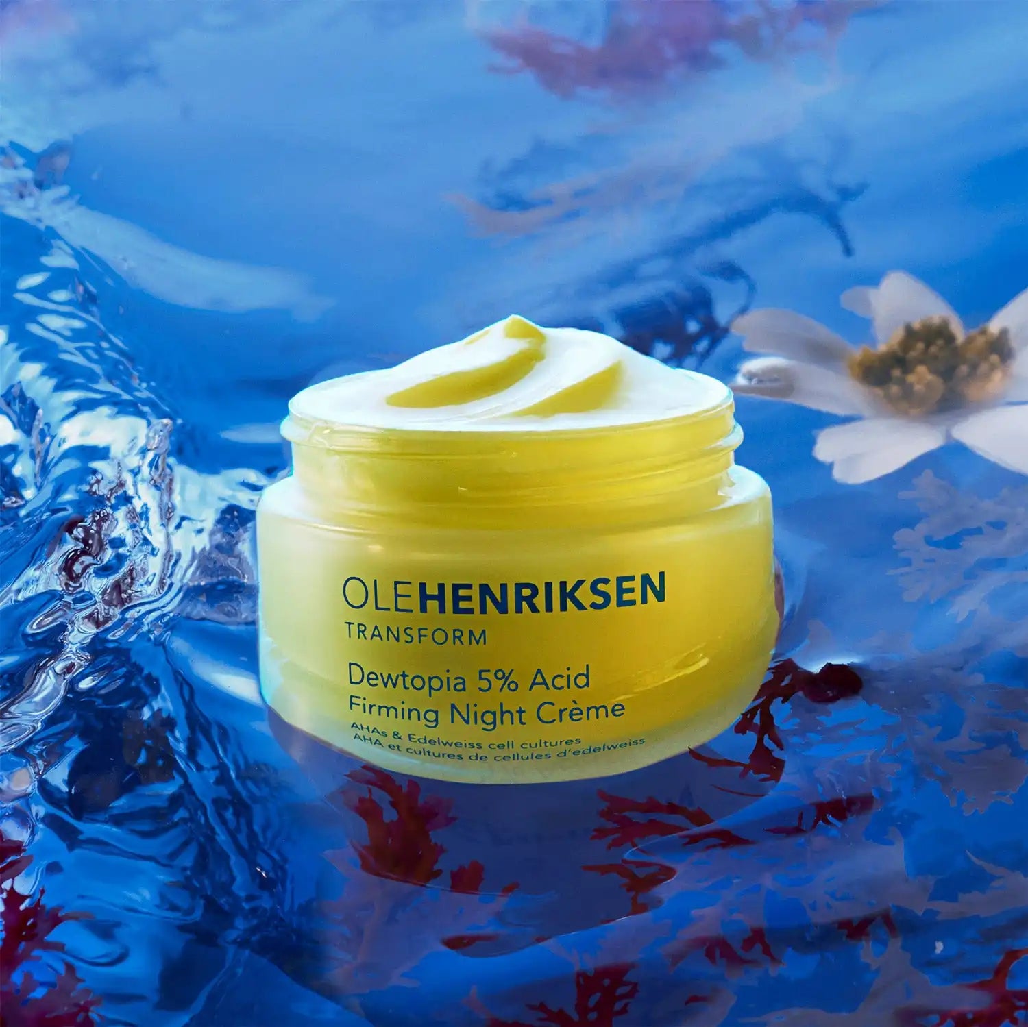 olehenriksen.it.com