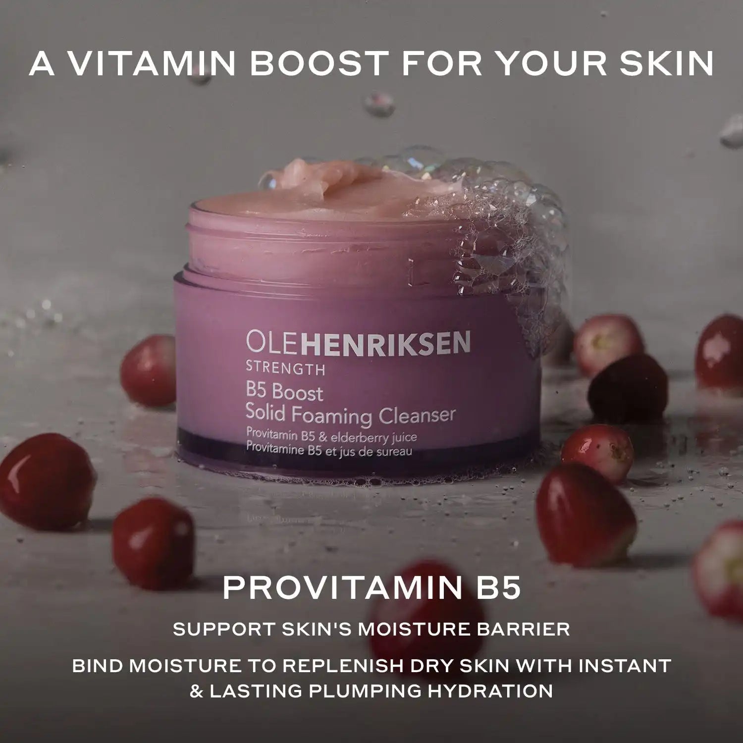 olehenriksen.it.com